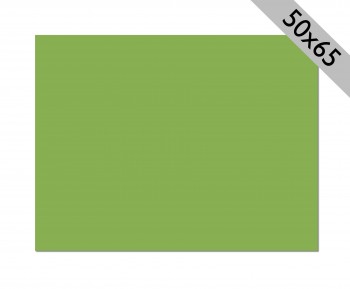 CARTULINA 50X65 VERDE HIERBA/MINHO PRADO